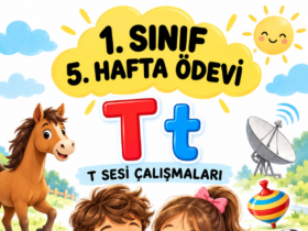 1. sınıf 5. hafta ödevi T sesi çalışma sayfaları kapak