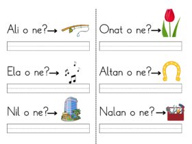 1. Sınıf Kasım Ara Tatil Ödevi