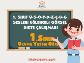 1. Sınıf Ü-S-Ö-Y-D-Z-Ç-B-G Sesleri Eğlenceli Görsel Dikte Çalışması