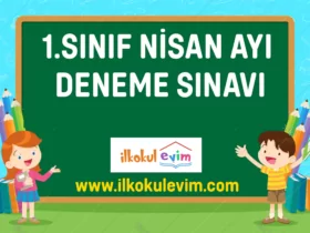 1.SINID DENEME