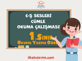 C ve Ş Sesleri Cümle Okuma Çalışması