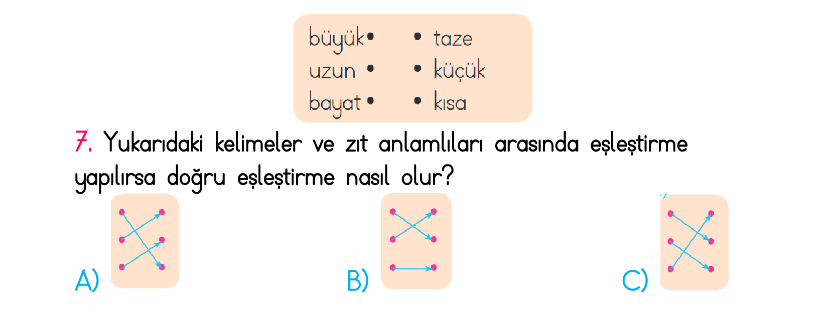 1. Sınıf Türkiye Geneli Kazanım Değerlendirme Sınavı 2