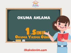 1.Sınıf Cümle Okuma Anlama