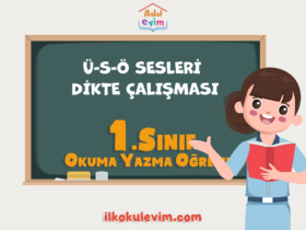 1.Sınıf Ü-S-Ö Sesleri Dikte Çalışması