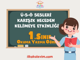1.Sınıf Ü-S-Ö Sesleri Heceden Kelimeye Okuma Çalışması