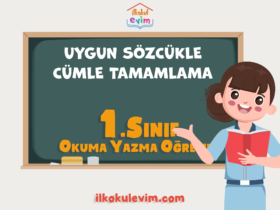 1.Sınıf Uygun Sözcükle Cümle Tamamlama