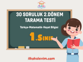 1. Sınıf 2. Dönem 30 Soruluk Tarama Testi