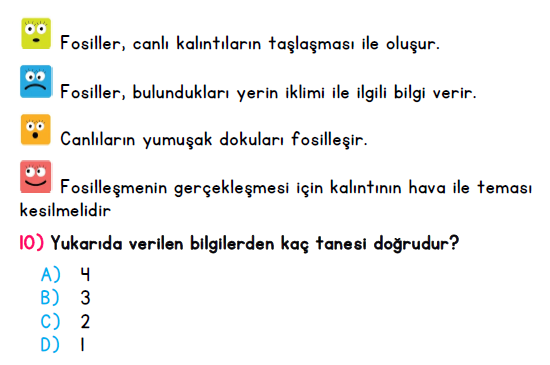 4.Sınıf Ekim Ayı Süreç İzleme Sınavı-1