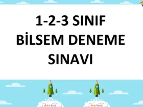 123bilsemdenemesinavi