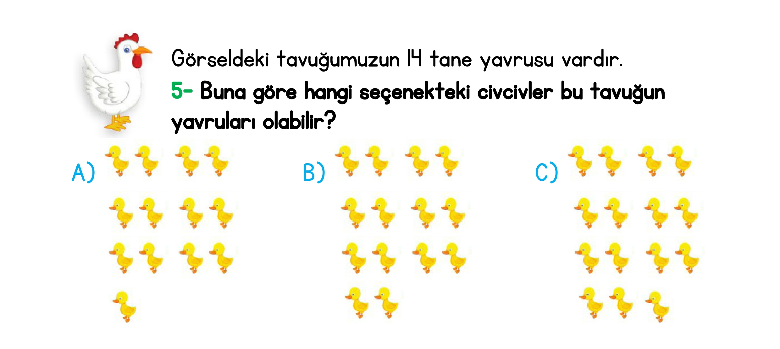 1. Sınıf Türkiye Geneli Ara Tatil Değerlendirme Sınavı