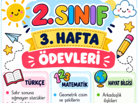 2. Sınıf 3. Hafta Ödevleri kapak görseli – Türkçe, Matematik ve Hayat Bilgisi