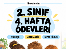2. sınıf 4. hafta ödevi kapak görseli