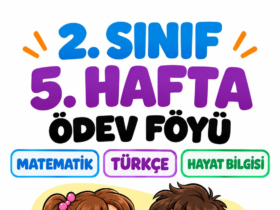 2. sınıf 5. hafta ödevi kapak görseli
