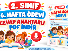 2. Sınıf 6. Hafta Ödevi