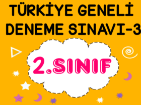 2. Sınıf Türkiye Geneli Kazanım Değerlendirme Sınavı-3