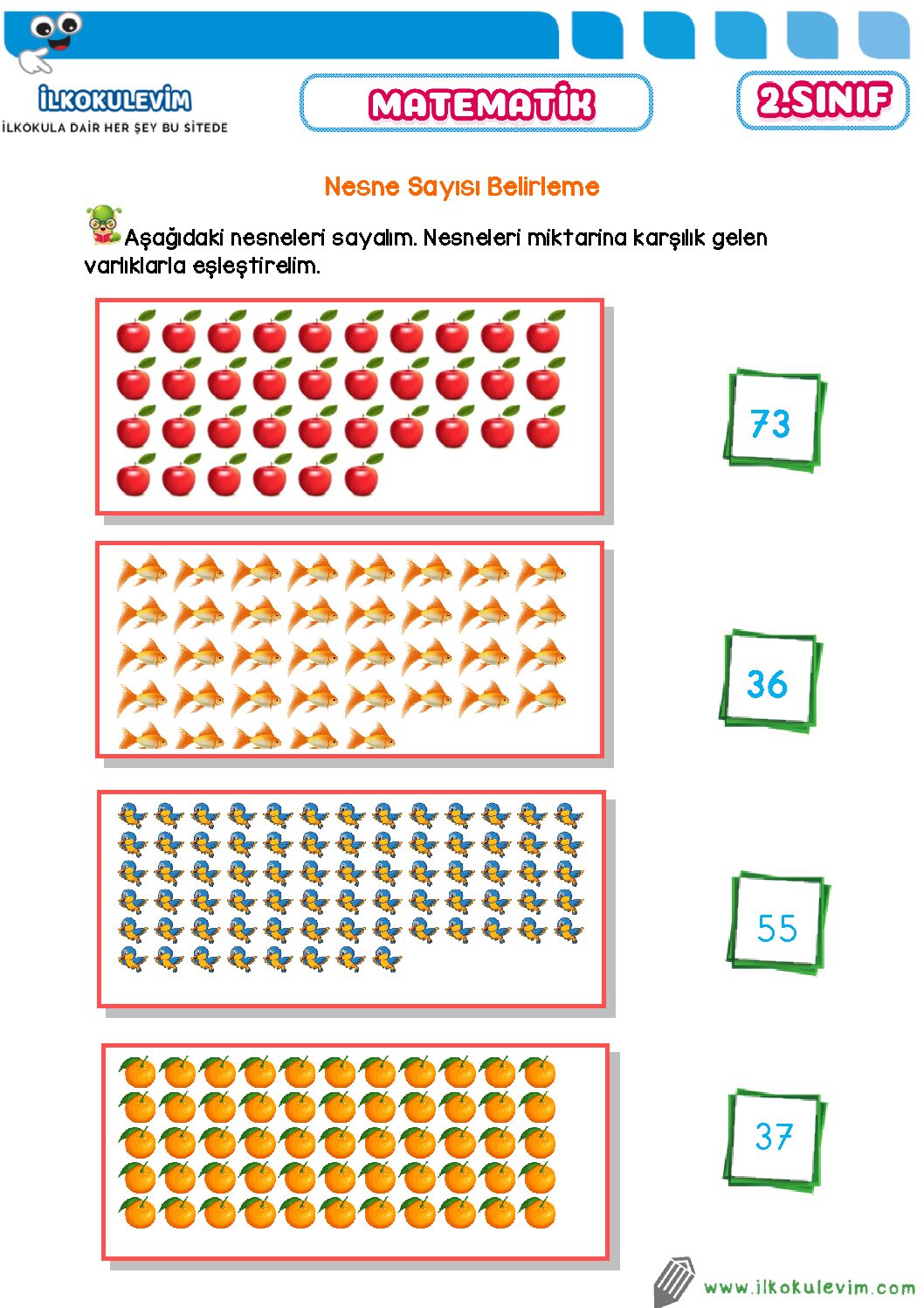 2. Sınıf Matematik Nesne Sayılarını Belirleme Etkinliği 1