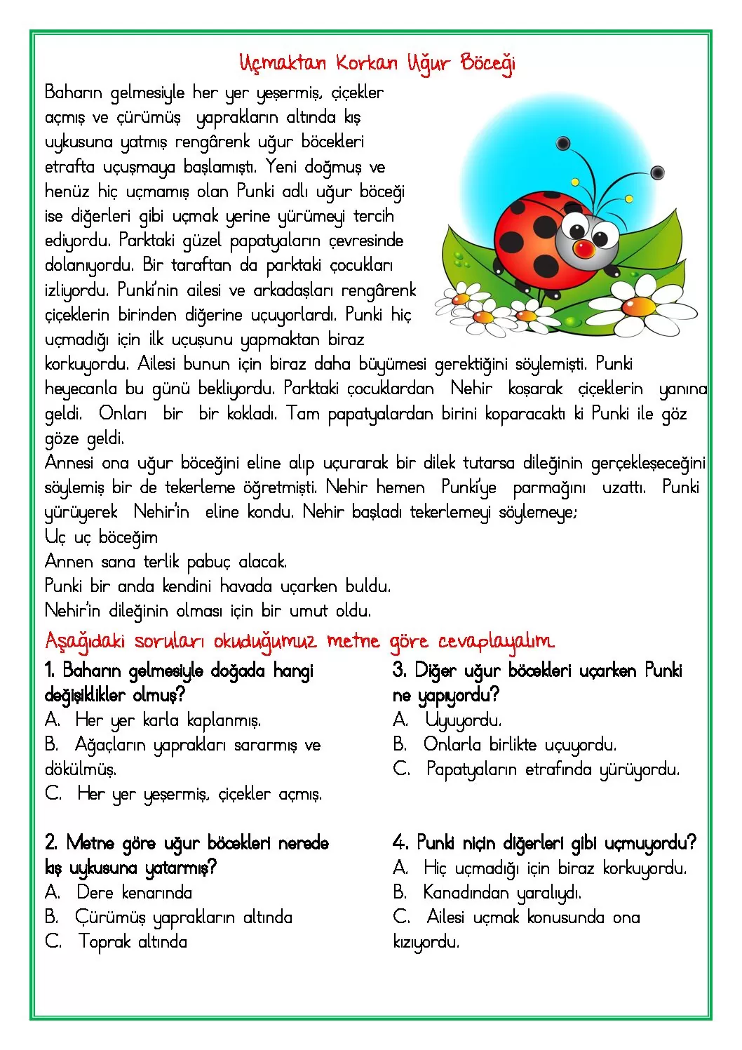 2. Sınıf Türkçe Okuma Anlama Etkinliği 11