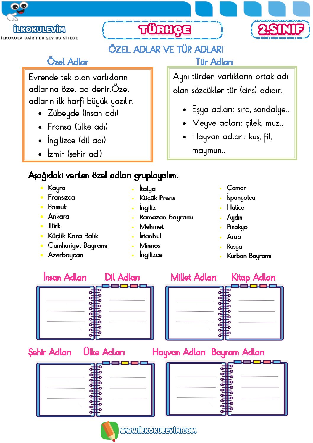 2. Sınıf Türkçe Özel ve Cins İsimler Etkinliği 1