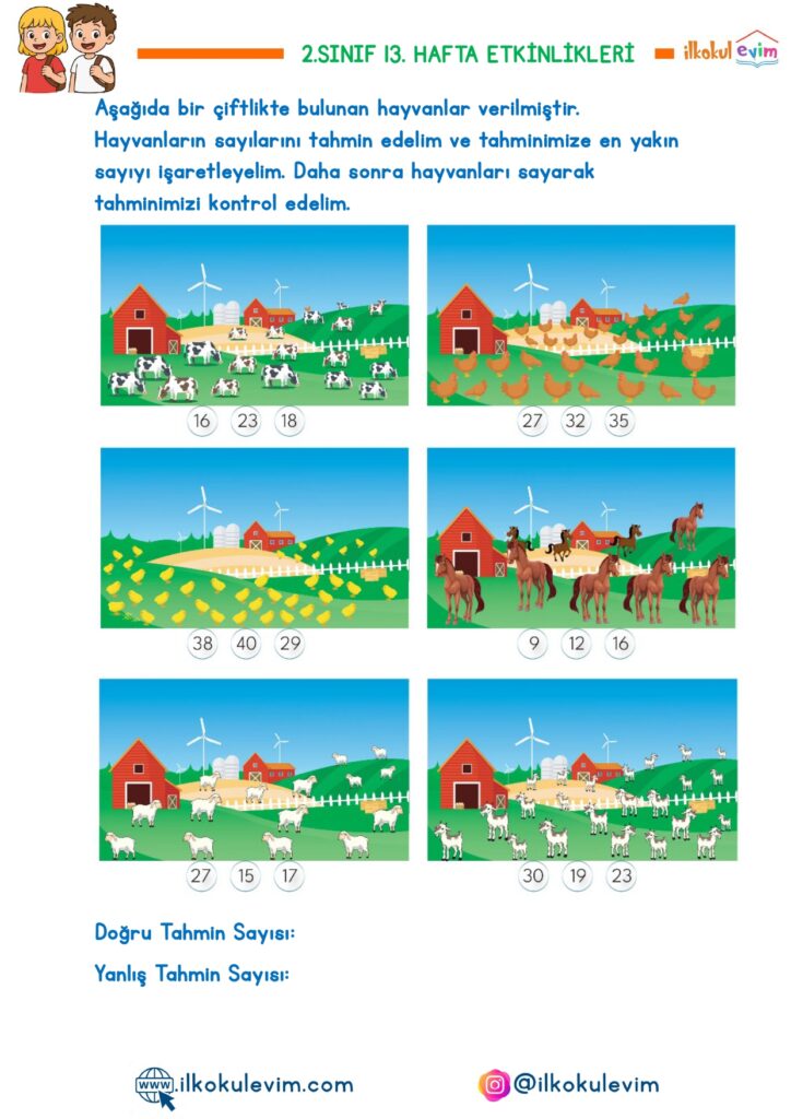 2.Sınıf 13. Hafta Etkinlikleri