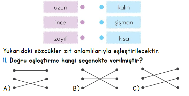2.Sınıf 5-6-7-8. Hafta Türkçe Değerlendirme