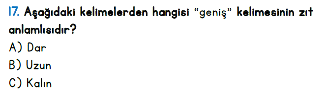 2.Sınıf 5-6-7-8. Hafta Türkçe Değerlendirme