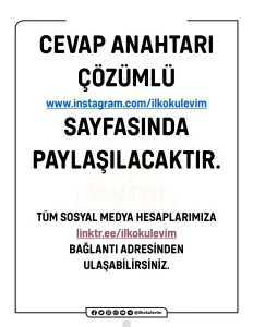 3. Sınıf 1-15. Haftalar Genel Tarama (PDF ve ONLİNE)