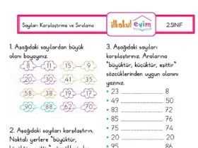 2.Sınıf Matematik 6. Hafta Değerlendirme Soruları