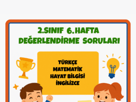 2.Sınıf 6.Hafta Değerlendirme Soruları