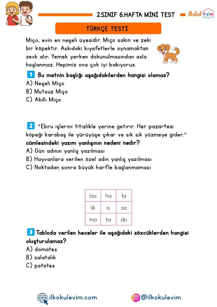 2.Sınıf 6.Hafta Mini Test