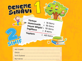 2. Sınıf Meraklı Zihinler Kasım Ayı Kazanım Değerlendirme Sınavı