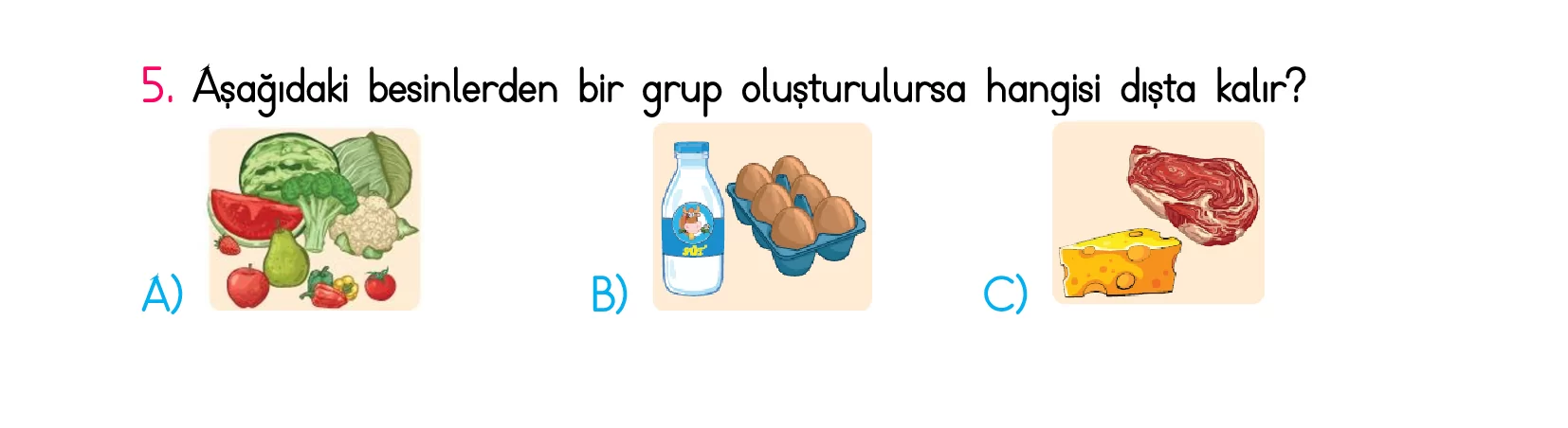 2. Sınıf Türkiye Geneli Kazanım Değerlendirme Sınavı 5