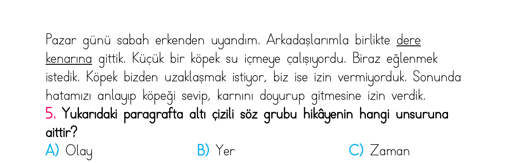 2. Sınıf Türkiye Geneli Kazanım Değerlendirme Sınavı 5
