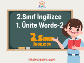 2.Sinif Ingilizce 1. Unite Words 2