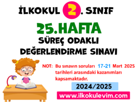 2.Sınıf 25.Hafta Değerlendirme Soruları