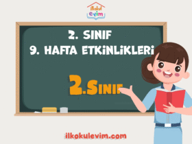 2.Sınıf 8. Hafta Etkinlikleri