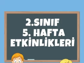 2.Sınıf 5.Hafta Etkinlikleri