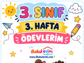 3. sınıf 3. hafta ödevleri kapak görseli