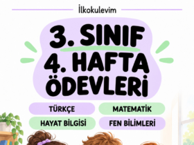 3. sınıf 4. hafta ödevi kapak görseli