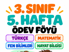 3. sınıf 5. hafta ödevi kapak görseli