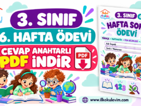 3. sınıf 6. hafta ödevi cevap anahtarlı PDF