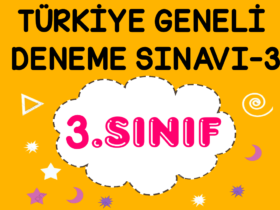 3. Sınıf Türkiye Geneli Kazanım Değerlendirme Sınavı-3