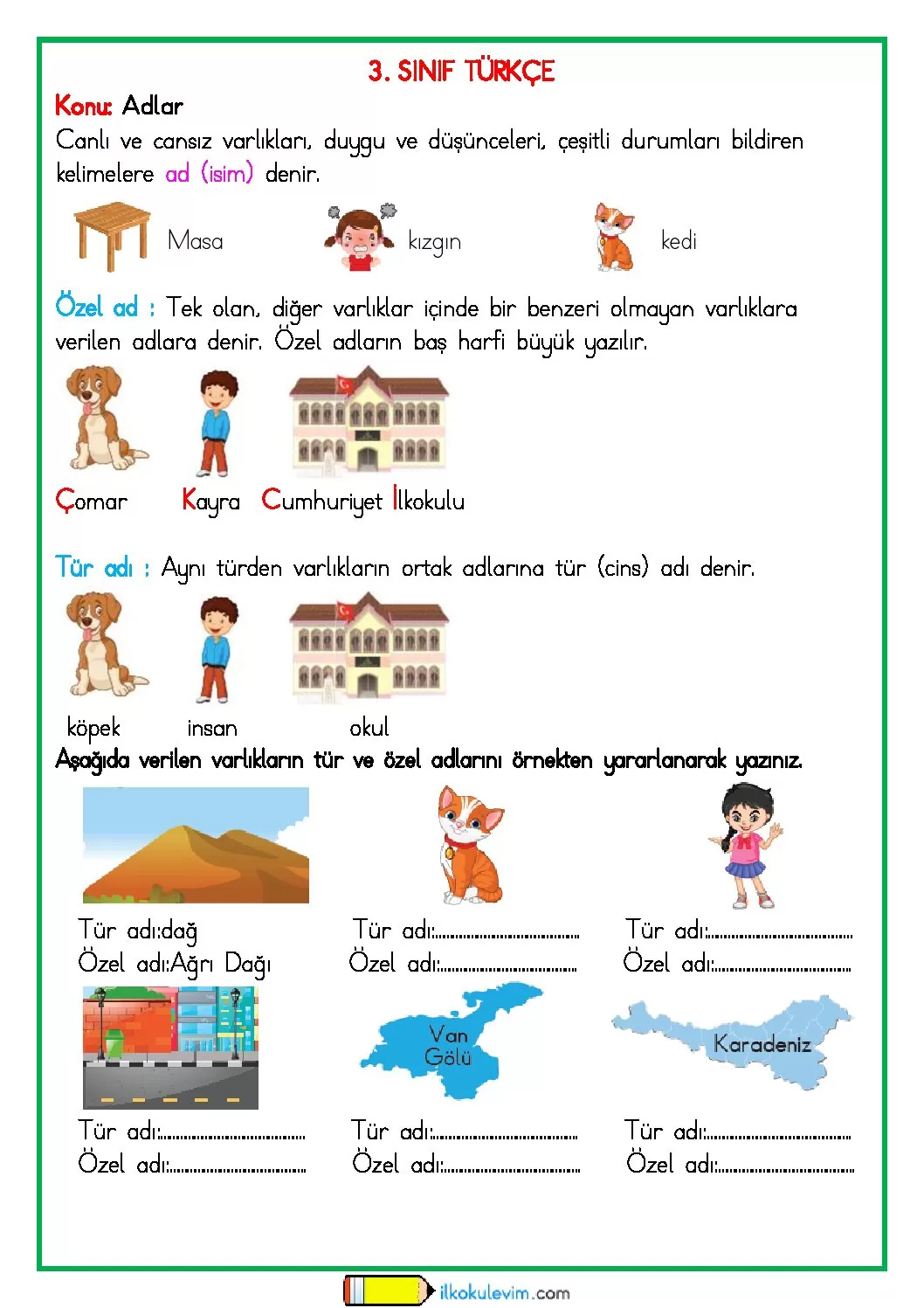 3. Sınıf Türkçe Adlar (Özel ve Tür Adları) Etkinliği