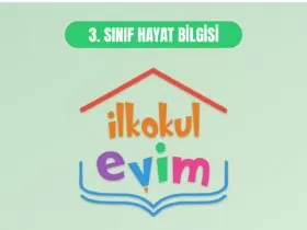 3. Sınıf Hayat Bilgisi Cevap Anahtarı
