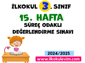 3.Sınıf 15. Hafta Değerlendirme Soruları