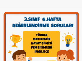 3.Sınıf 6.Hafta Değerlendirme Soruları