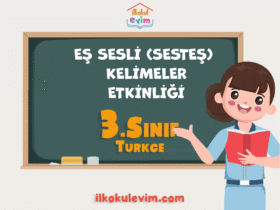3.Sınıf Türkçe Eş Seli Kelimeler