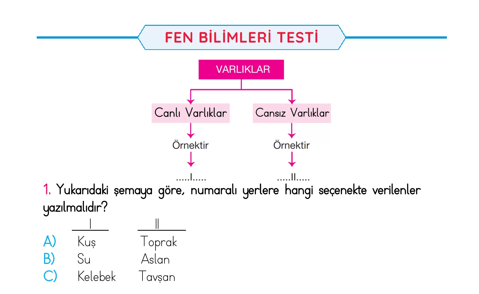 3. Sınıf Türkiye Geneli Kazanım Değerlendirme Sınavı 5