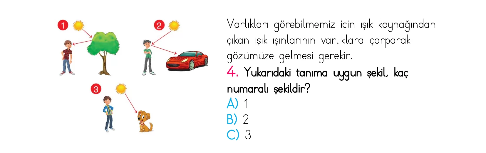 3. Sınıf Türkiye Geneli Kazanım Değerlendirme Sınavı 5
