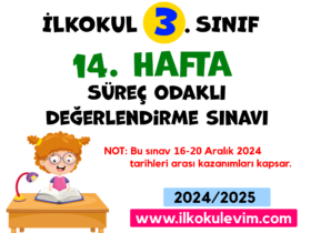 3.Sınıf 14. Hafta Değerlendirme Soruları