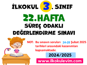 3.Sınıf 22.Hafta Değerlendirme Soruları
